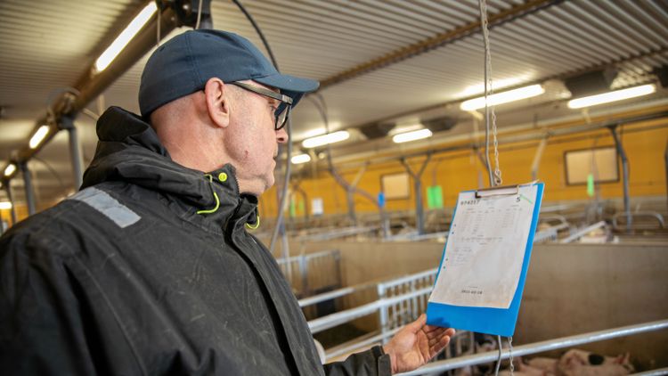 Självförtroende ger tillväxt på Gränsboda