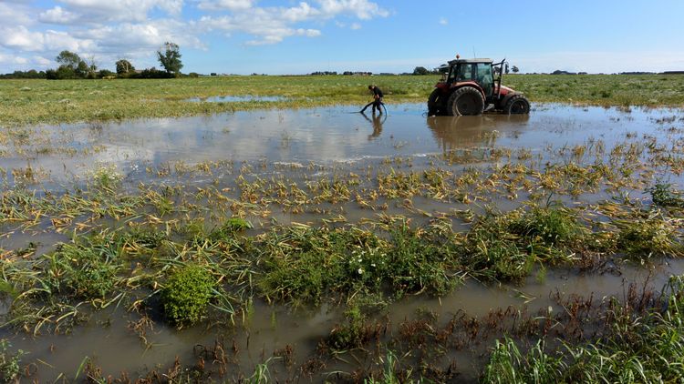 15 000 hektar spannmålsodling försvann