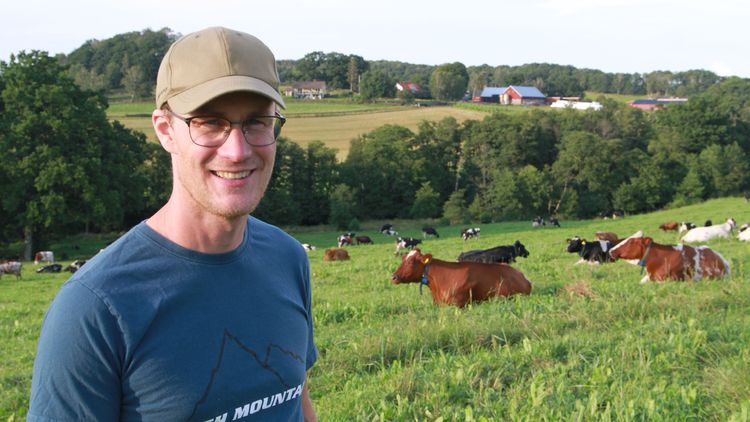 Ju större andel bete desto bättre lönsamhet i mjölkproduktion