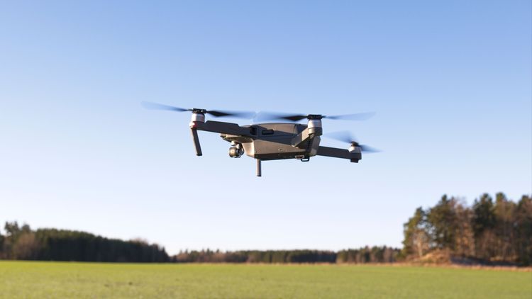 Drönaren som skrämmer både hjort och vildsvin