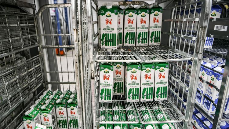 Mindre betalt för mjölken – trots oförändrat mjölkpris