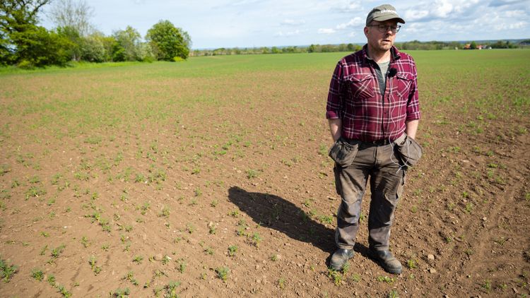 Han satsar på egen förädling av lupin