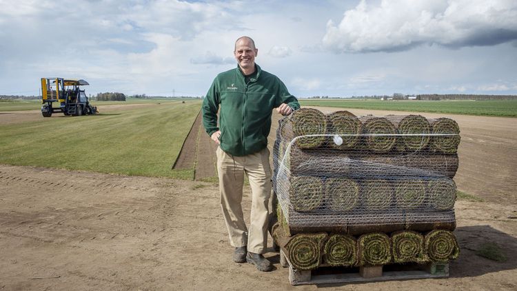 Gräs och grönt en växande affär