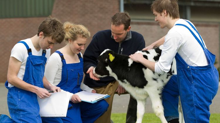 Rekordmånga söker till naturbruksprogrammet