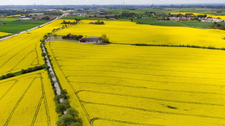 ”EU:s jordbrukspolitik ger stabilitet”