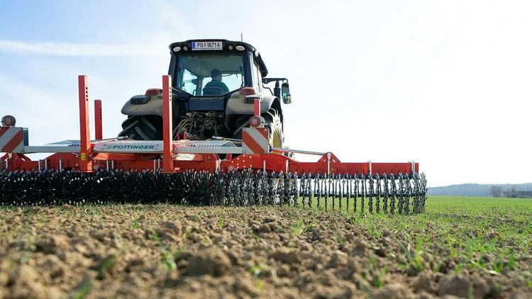 Nya redskap för mekanisk ogräsbekämpning