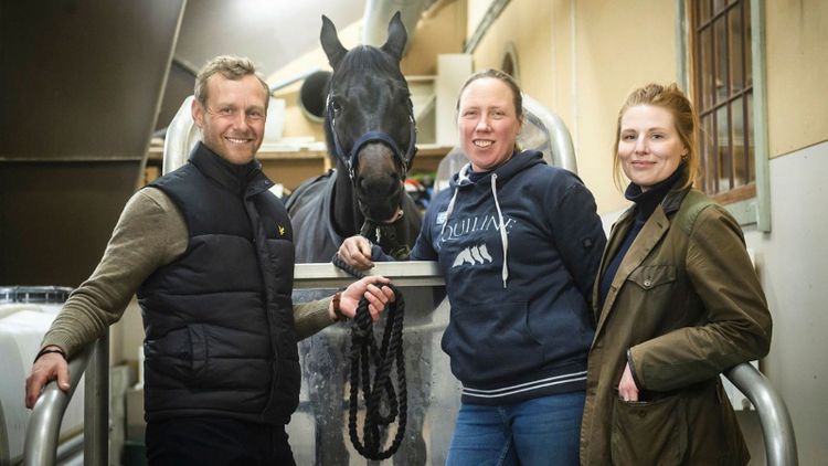 Här får hästarna rehab med extra allt