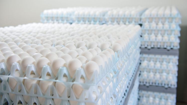 ”Marknaden utanför branschens kontroll”