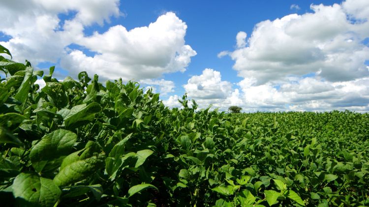 ”Svenska merväden är värda att betala för”