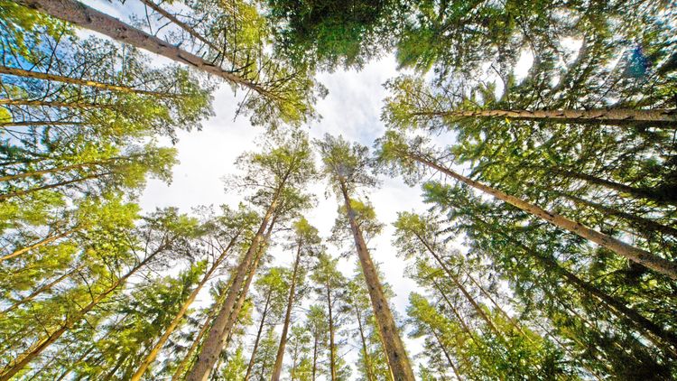 53 000 kubikmeter – varje timme