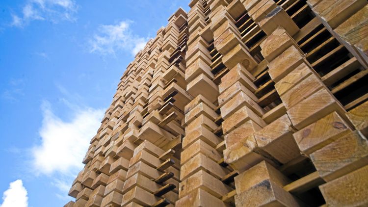 Ny virkesköpare i norr