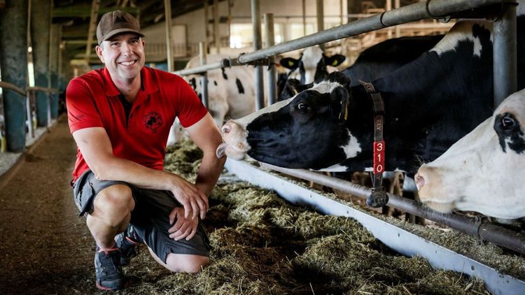 Han väljer majs – efter torkåren