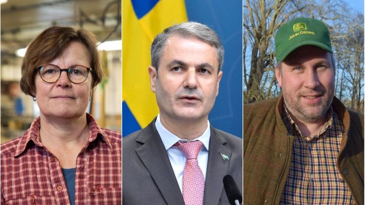 Avskaffad ministerpost möter kritik från flera håll