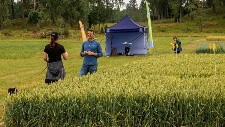 Så ger du bästa kvävegivorna