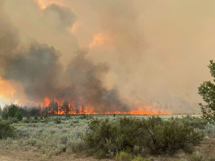 Bränderna rör sig snabbt i de torra markerna. I de aktuella områdena finns mycket barrträd.