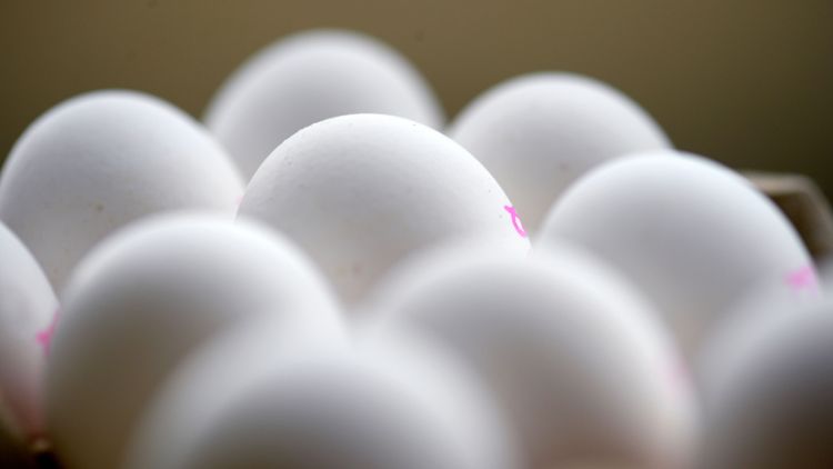 ”Svenska Ägg smiter från ansvar”