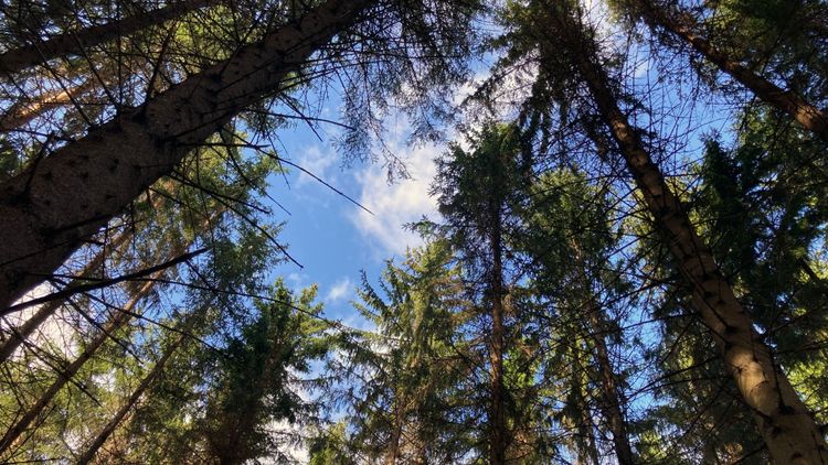 Klimatpaketet får kritik från flera håll