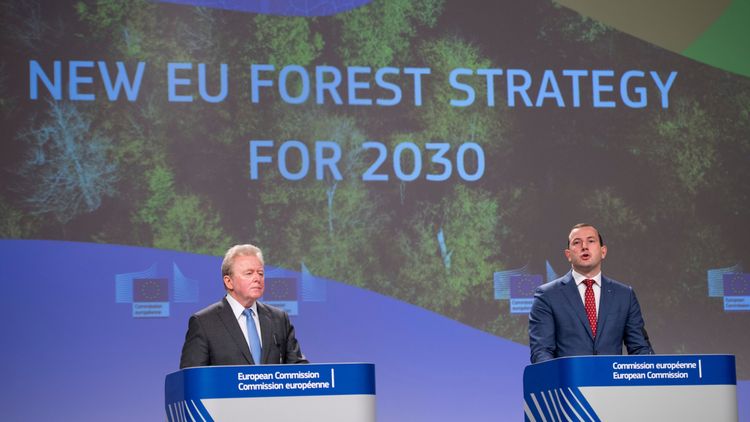 Skogsstrategins mål: Mindre intensivt skogsbruk