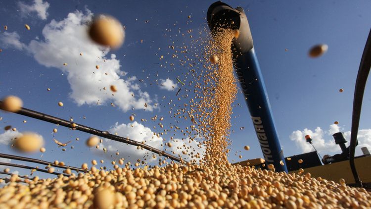 ”Svenska Foder demoniserar GM-grödor”