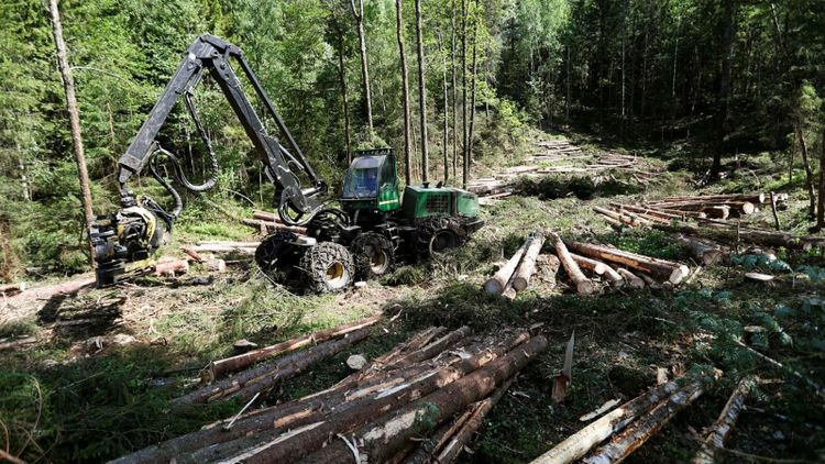 Stabilt väder bra för skogsproduktionen