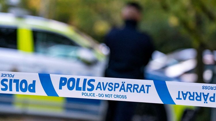 Storskalig cannabisodling på skånskt gods