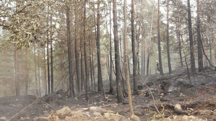 "Rutinerna har blivit tydligare” 