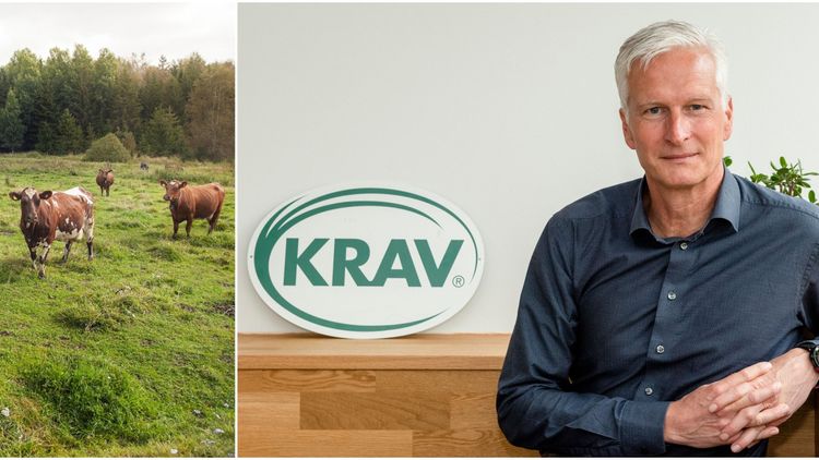 Ny hållbarhetsrankning från Krav: Värmland i topp