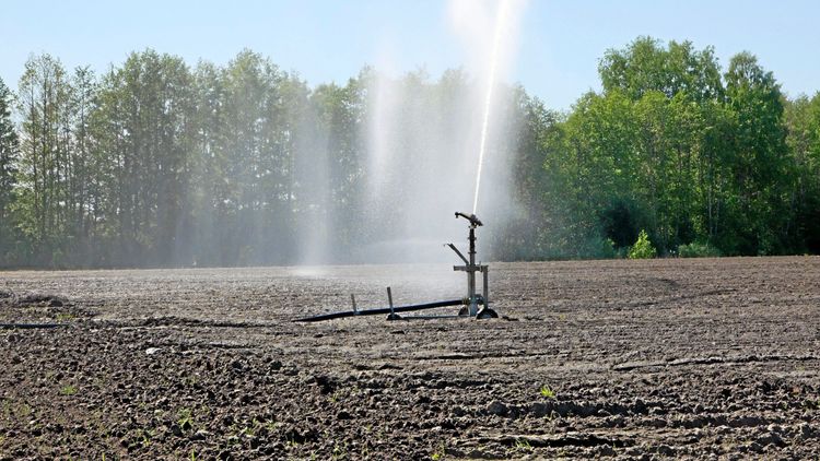 Låga grundvattennivåer nu ännu lägre