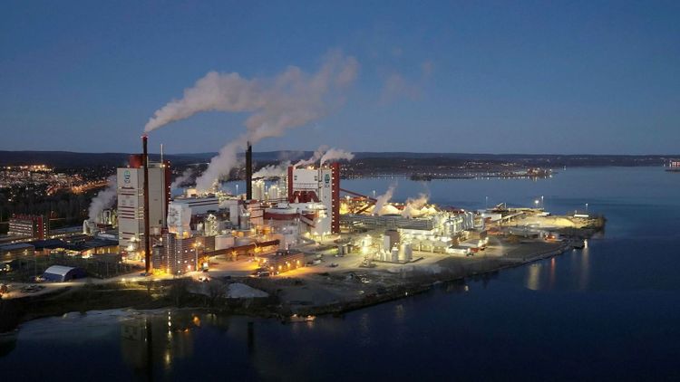 Skogsbolagen går urstarkt