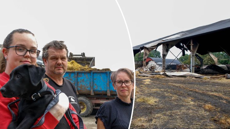 Stora skador efter bränderna i Skåne