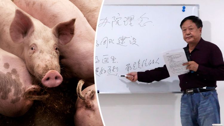 Kina fängslar frispråkig lantbruksmogul