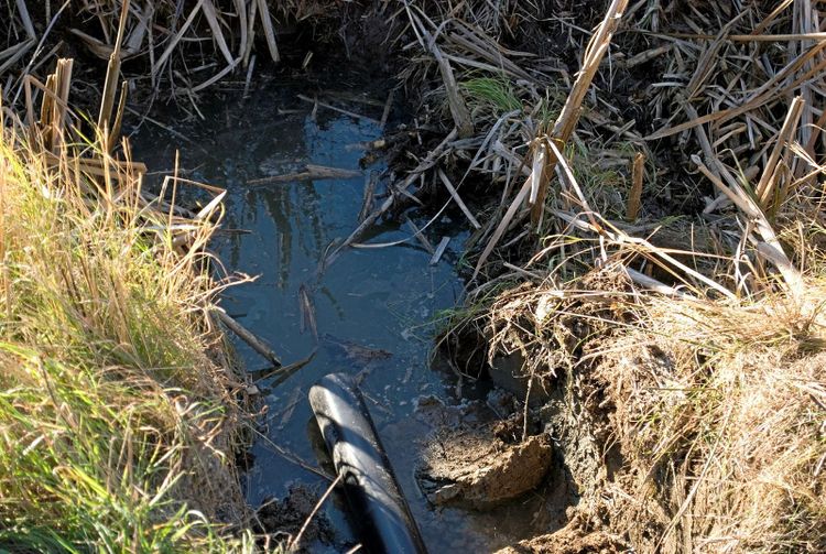 Bild på ett dike fyllt av vatten.