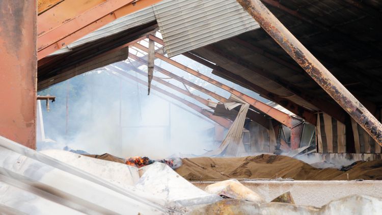 Tjurar fick tas bort efter branden