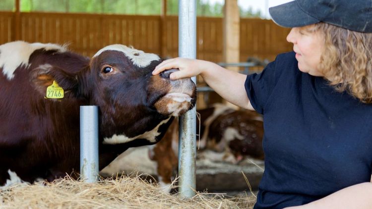 Nya utfodringssystemet ska minska utsläppen