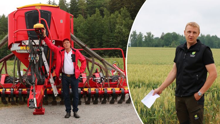 Seed Hawk 30 överraskade i plöjd och harvad jord