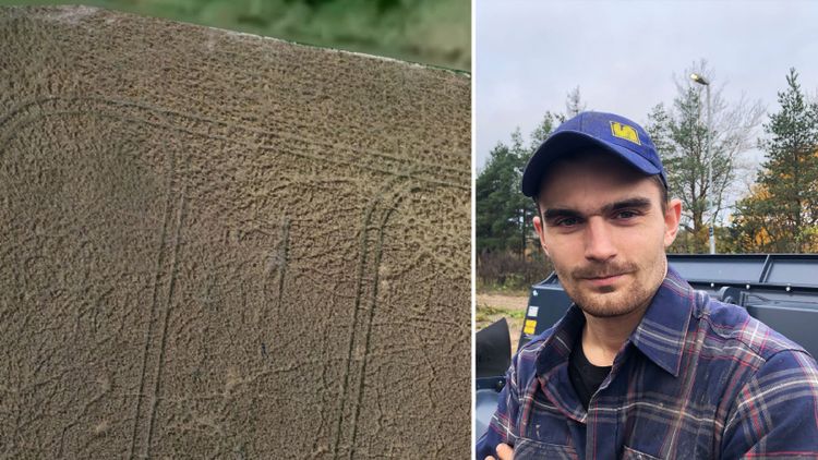 Han slutar om inte viltskadorna går ner