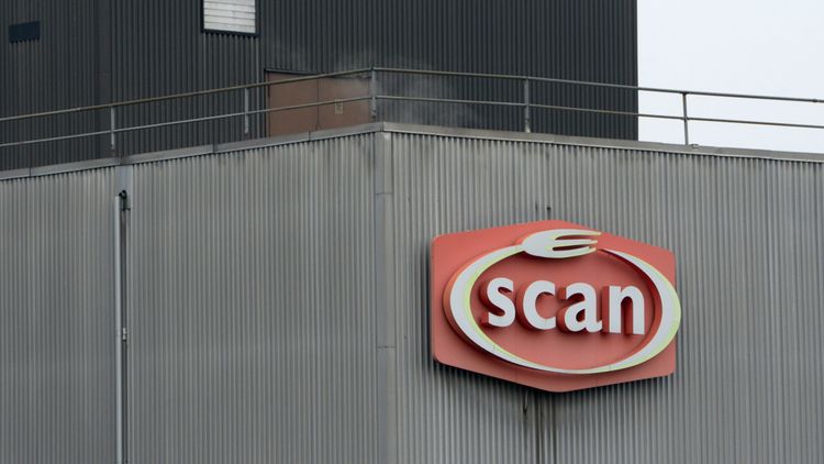 Vite hotar HK Scan efter allvarliga brister