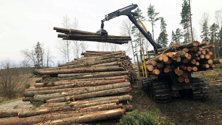 Därför anlitar Norra Skog estniska entreprenörer