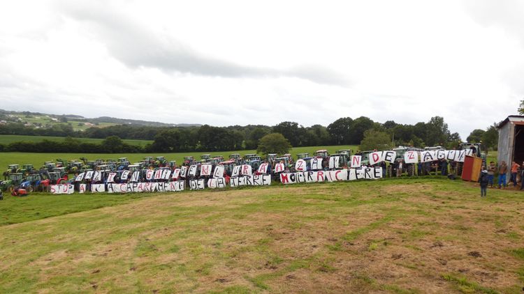 Bönder ockuperar jordbruksmark – vill stoppa försäljning