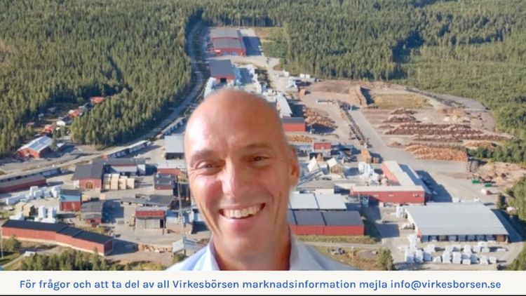 Se den digitala skogskvällen