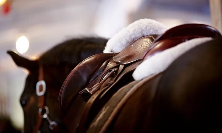 Stöldvåg av dyra sadlar