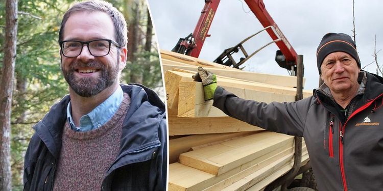 Svårt att få betalt för hyggesfritt virke