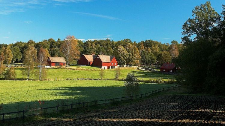 Fler vill att politikerna agerar för klimatet