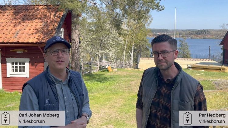 Virkesstudion: Kindasågen och polska virkesköpare