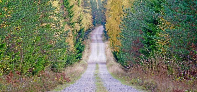 Ikea-pengar ska ge bättre grusvägar