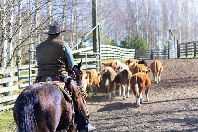 Kc Ranch Siege KC Ranch får nyttja skjutfältet ett tag till