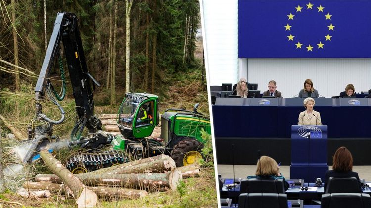 ”Fula inte ut rimlig EU-kritik”
