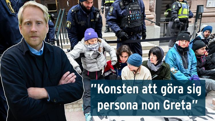 ”Aktivisterna skrattade högljutt och ville inte lyssna”