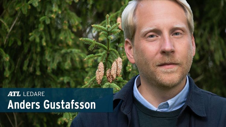 ”Så hjälper staten aktivisterna att ta skogen ifrån dig”