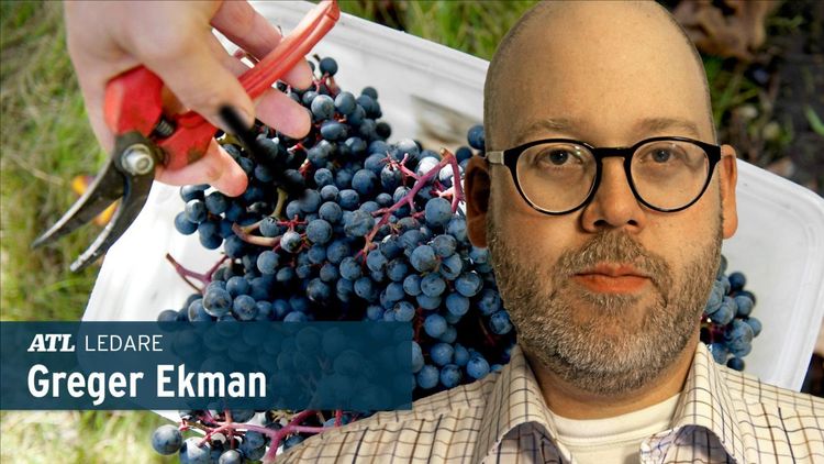 ”Regeringen är på rätt väg, men tiden rinner iväg”